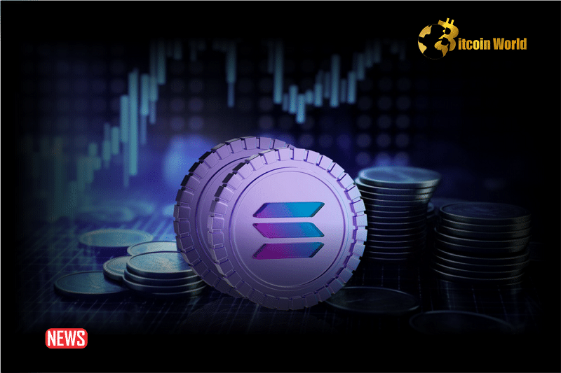 Solana (SOL) Enters Correction Mode As The Year Draws To A Close