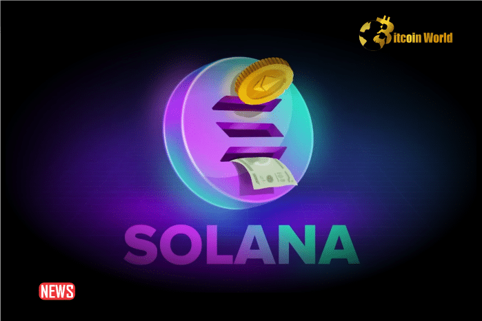 Solana Meme Coin Investors Lose Millions In Abandoned Projects