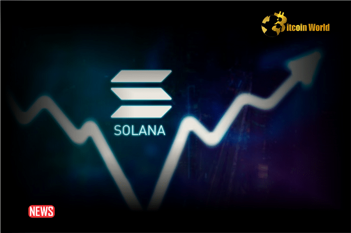 Price Analysis: The Price Of Solana (SOL) Increased More Than 8% Within 24 Hours