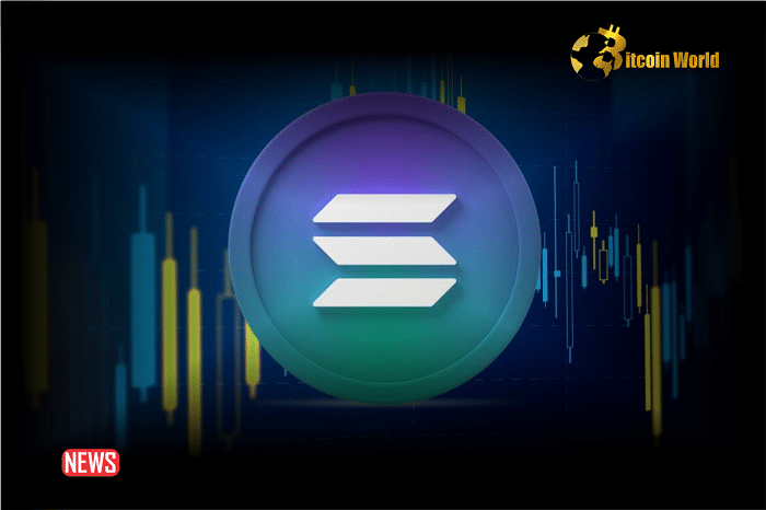 The Price Of Solana (SOL) Has Crossed The $200 Resistance, What’s Next For Solana?