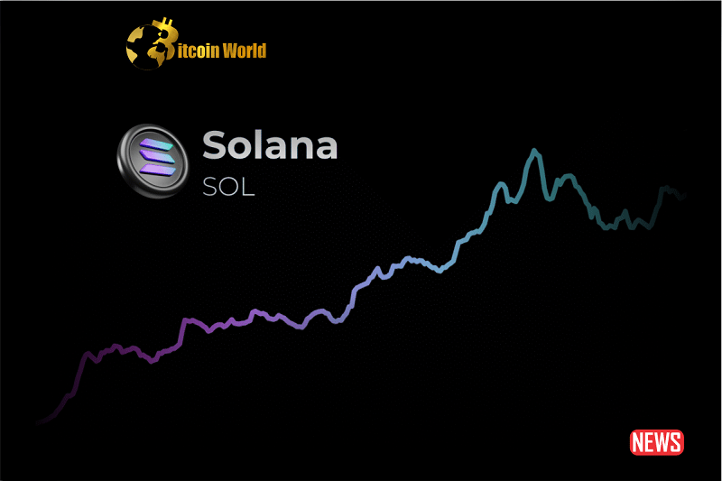 solana proce