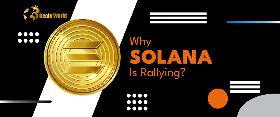 solana rallying