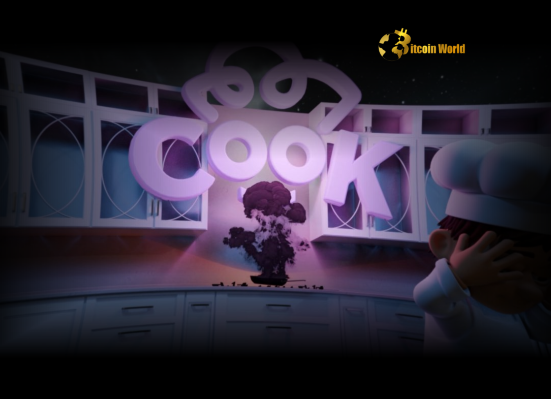 Solana Token Issuance Platform Cooking.City Secures Crucial $7M Crypto Funding