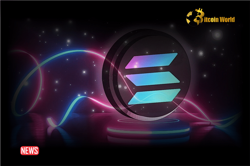 How Crypto Trader Made 56,000% Return On 4 Solana Tokens