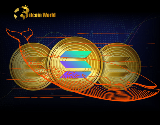 Crypto Whales Abruptly Move Over $186,000,000 in Ethereum Rival Solana – Here’s Where the Crypto Is Going