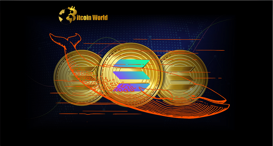 Crypto Whales Abruptly Move Over $186,000,000 in Ethereum Rival Solana – Here’s Where the Crypto Is Going