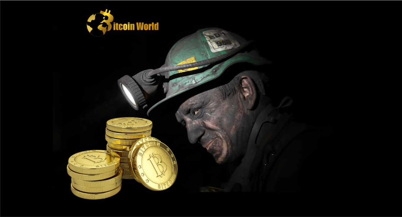 'Very Lucky' Solo Miner Solves Bitcoin Block for $148K Reward