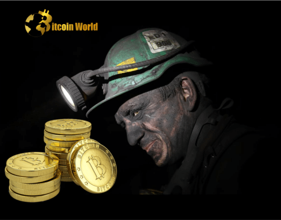 'Very Lucky' Solo Miner Solves Bitcoin Block for $148K Reward