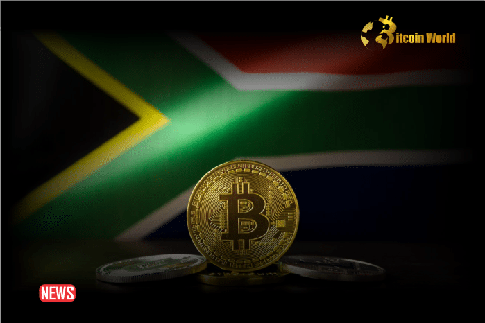 South African Regulator Grants Approval to 59 Crypto Platforms for Resident Services