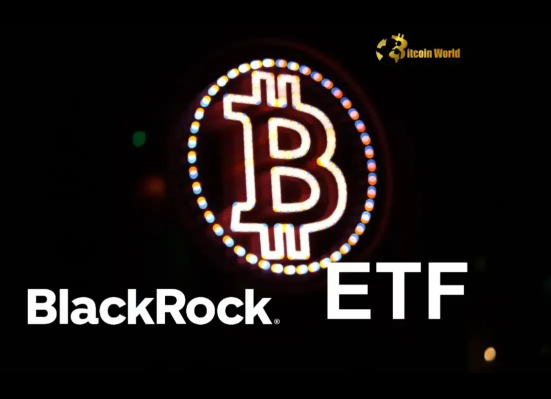 Spectacular BlackRock Bitcoin ETF Inflows Signal Strong Institutional Adoption