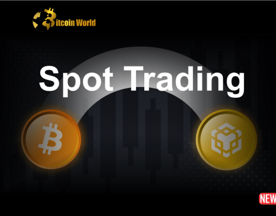 spot trading binance