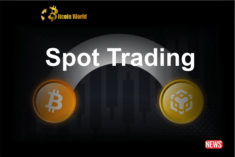 spot trading binance