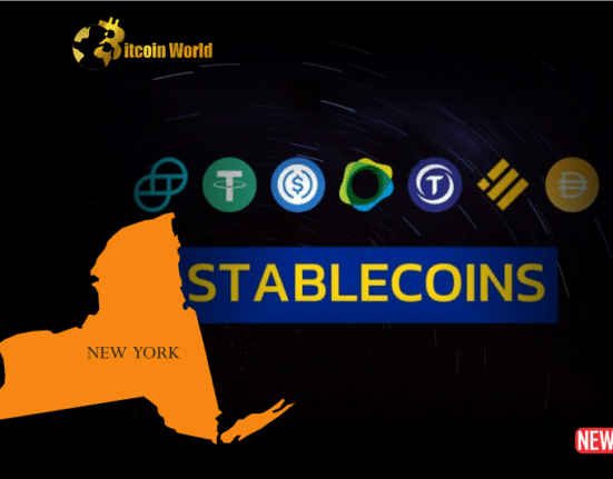 stablecoin new