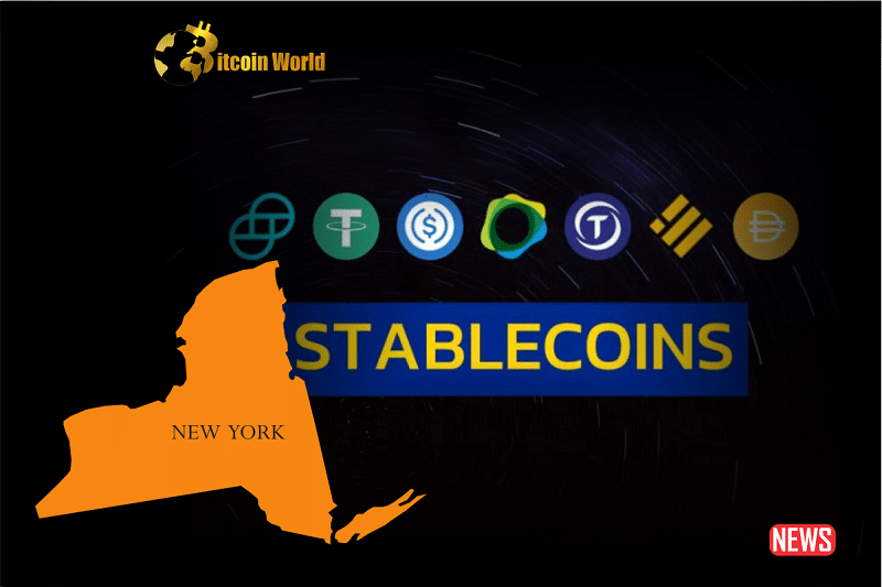 stablecoin new