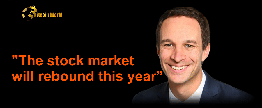 stock market levitt