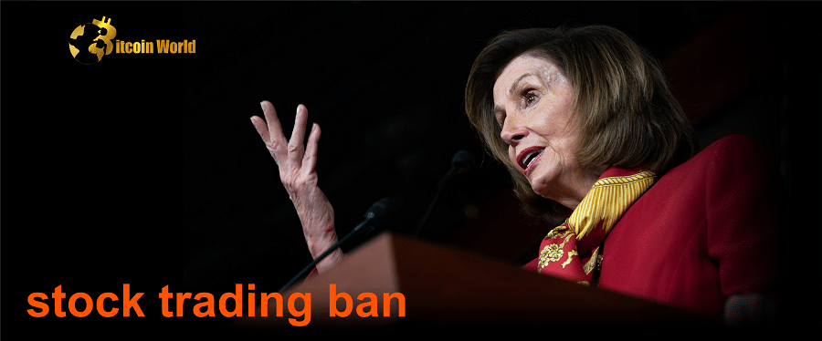 US lawmakers could consider stock trading ban in next session of Congress