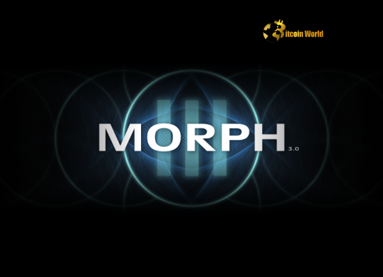 Strategic Morph Leadership Transition Underway