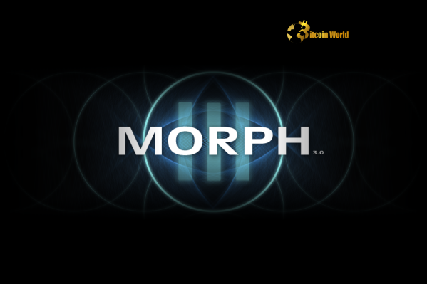 Strategic Morph Leadership Transition Underway