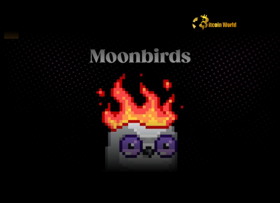 Strategic Yuga Labs Divests Moonbirds IP to Orange Cap Games