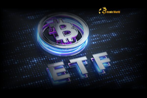 Sudden Reversal US Spot Bitcoin ETFs See $347 Million Outflows