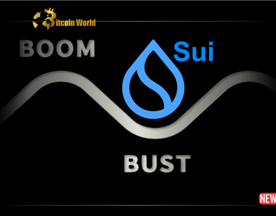 sui boom and burst