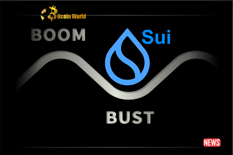 sui boom and burst