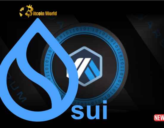 sui ntw arb