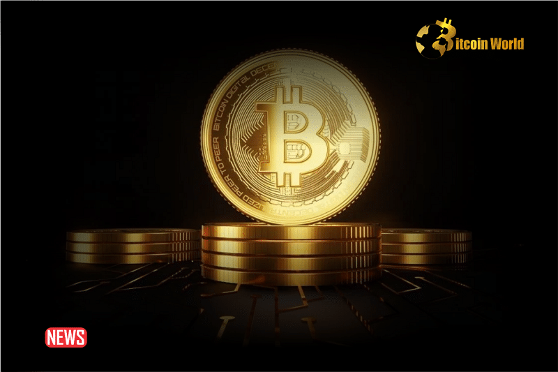 IRS Official: US Tax Evasion Cases Involving Cryptocurrency Surged In 2023