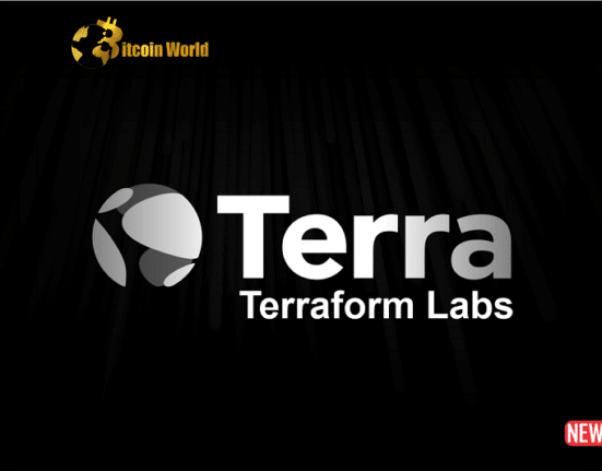 terrafoam labs