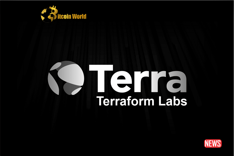 terrafoam labs