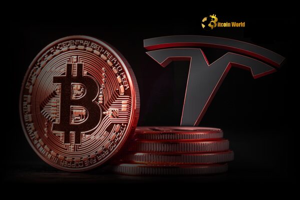 Tesla Bitcoin Holdings Surge to $1.24 Billion