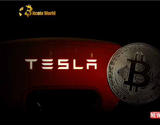 tesla btc 1