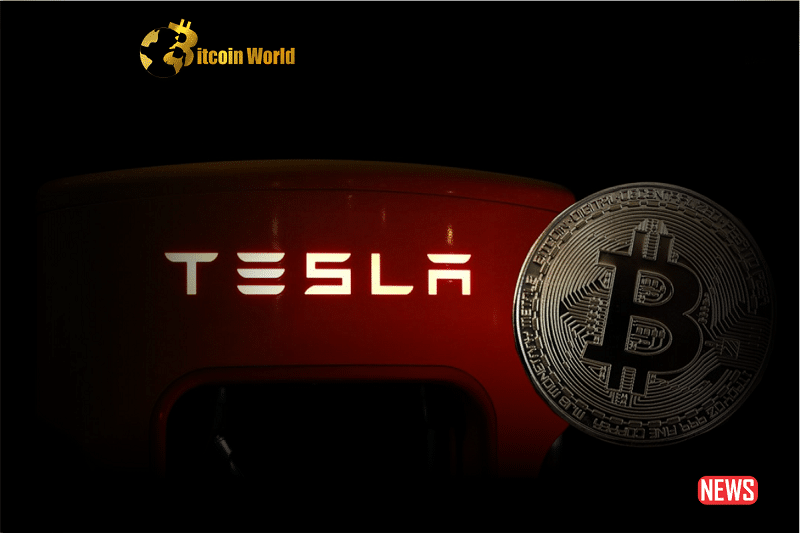 tesla btc 1