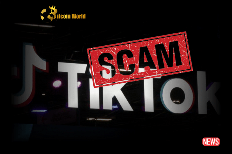 tiktok scam