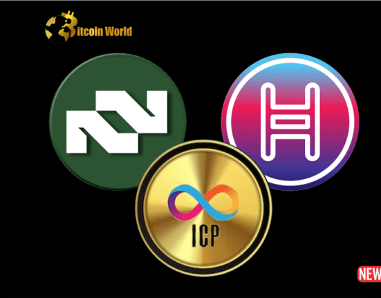 token rise