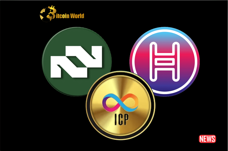 token rise