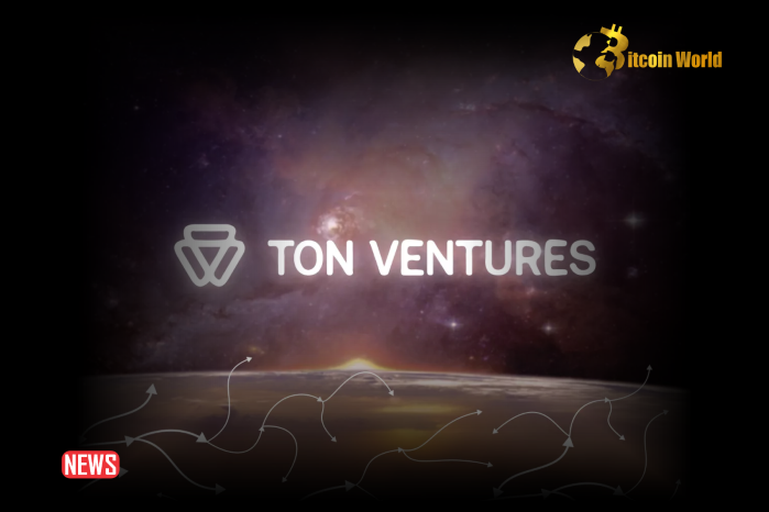 TON Ventures Launches With A $40m Fund For Crypto Startups