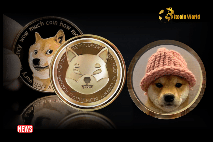 Top 3 Meme Coins For 10X Gains To Include In Your Portfolio