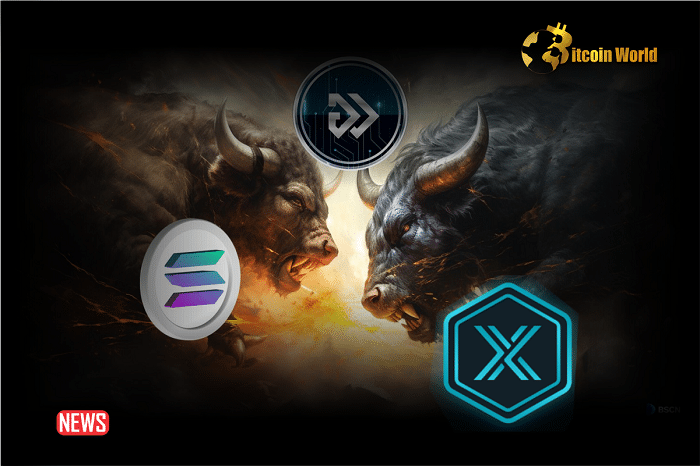 Top Altcoins After Bitcoin Halving: Solana (SOL), Immutable X (IMX) And Algotech (ALGT)