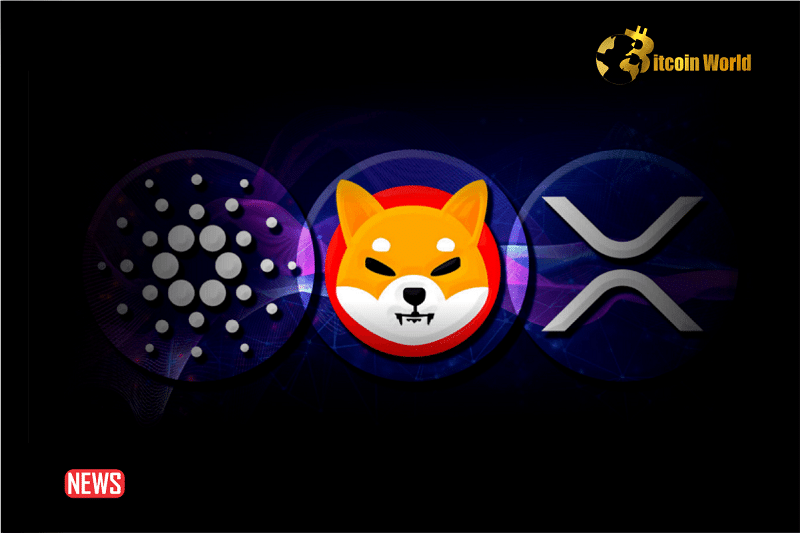 Top Cryptocurrencies To Watch This Week: XRP, ADA, SHIB
