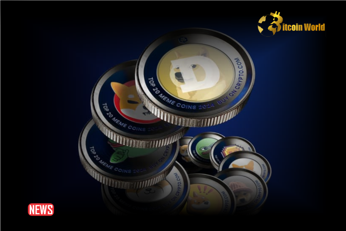DeFi Trader, Tracer, Reveals Insiders’ List Of Top Meme Coins