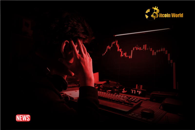 Trader Lost Over 60% To Slippage On Solana Meme Coin Dogwifhat