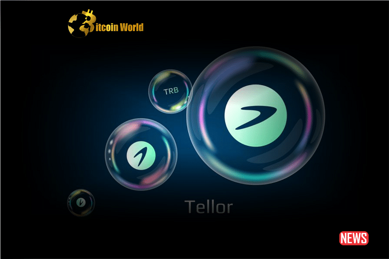 trb tellor