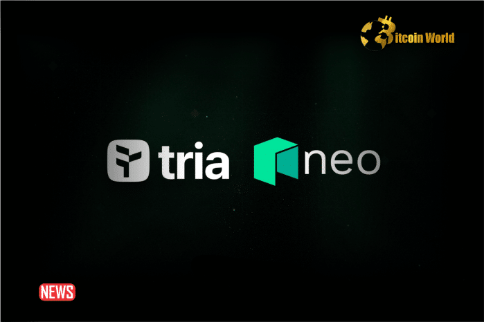 Neo And Tria Announce Partnership For Neo X