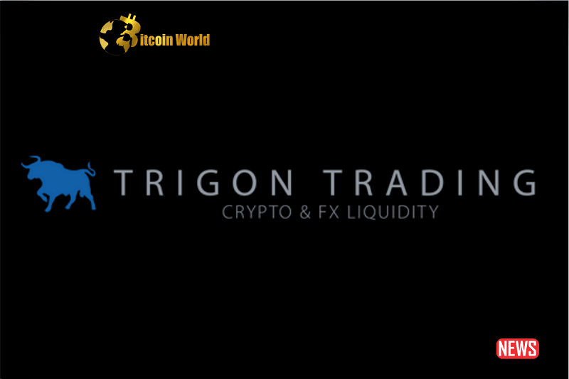 TrigonX comeback,TrigonX, FTX collapse, Australian crypto exchange, crypto recovery, crypto resilience, Digital Surge, Matteo Salerno, crypto news, DeFi, cryptocurrency