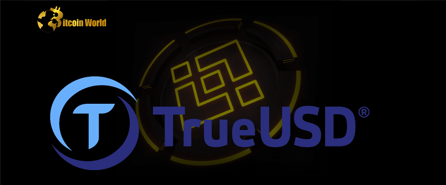 true usd bin