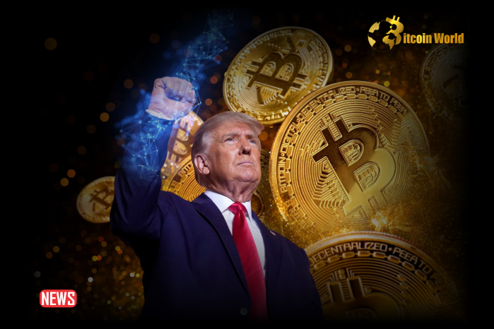 Donald Trump’s Pro-Crypto Stance Helping With Potential 2024 Election Victory: Pol