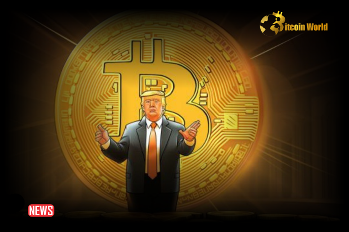 Crypto Trump Trade Will Return After 8 Years If Former President Wins the Election