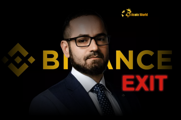 Turbulent Exit Binance Compliance Chief Tigran Gambaryan Departs After Nigerian Ordeal