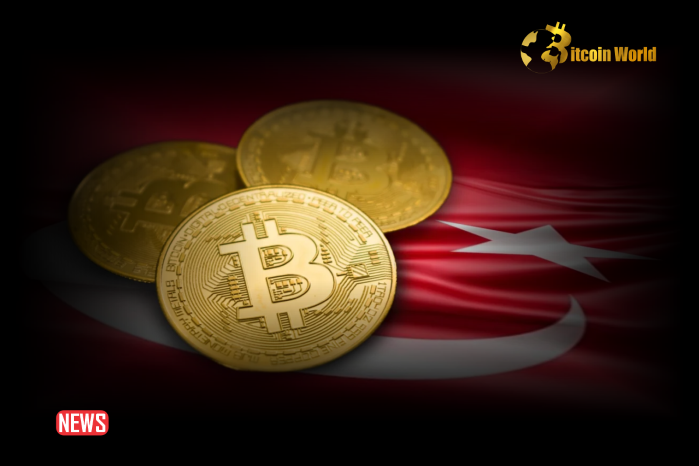 Crypto Craze In Turkey: License Applications Soar Amid Regulatory Changes